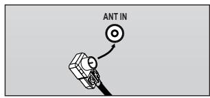 ANT IN