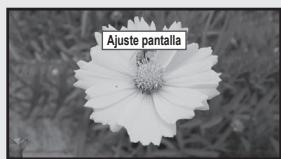 Ajuste pantalla
