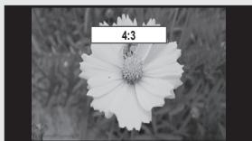 SAMSUNG LN65B650X1F - Information, modification - 4