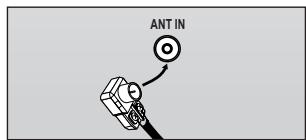 ANT IN