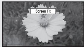 SAMSUNG LN65B650X1F - Size - 6