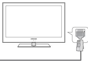 SAMSUNG LN65B650X1F - Uso del cable LAN - 3
