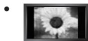 SAMSUNG LN65B650X1F - ☐ Précautions à prendre durant l'affichage d'une image fixe - 1