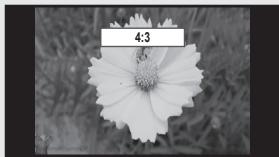SAMSUNG LN65B650X1F - Size - 5