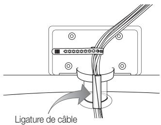 SAMSUNG PN58C590G4F - Disposition des câbles - 1