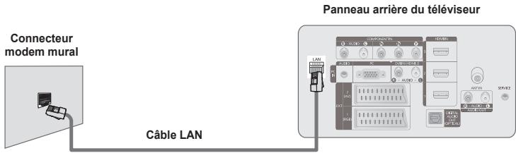 Connecteur modem mural Câble LAN Panneau arrière du téléviseur
