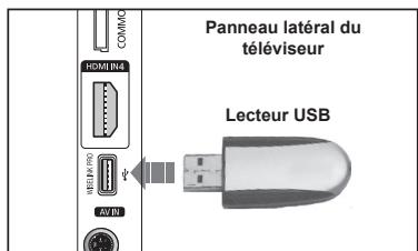 Panneau latéral du téléviseur Lecteur USB