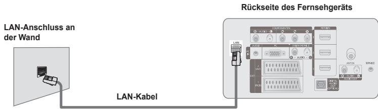 LAN-Anschluss an der Wand LAN-Kabel Rückseite des Fernsehgeräts