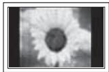 SAMSUNG PS50A756 - A still image displayed too long may cause permanent damage to the PDP Panel. - 1