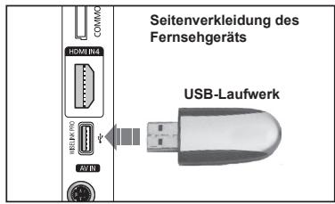 Seitenverkleidung des Fernsehgeräts COMMC HDMI 14 USB/NO AVT USB-Laufwerk