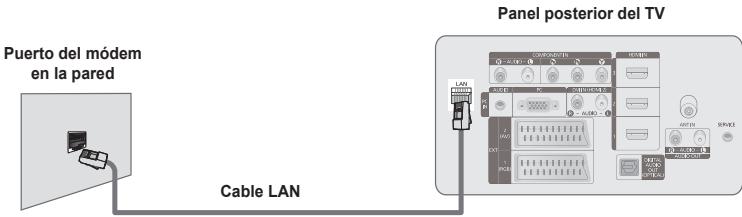 Puerto del módem en la pared Cable LAN Panel posterior del TV