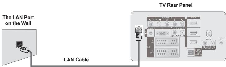 The LAN Port on the Wall LAN Cable TV Rear Panel