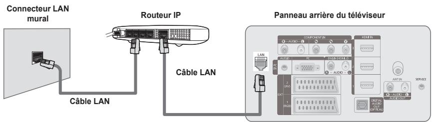 Connecteur LAN mural Câble LAN Routeur IP Câble LAN Panneau arrière du téléviseur
