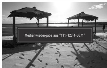 SAMSUNG UE-40B7020 - \Steuierung der Medienwiedergabe - 1