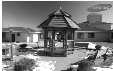 SAMSUNG UE-40B7020 - Utilisation de la fonction Media - 2