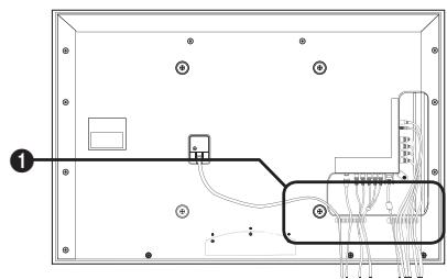 SAMSUNG UE-40B7020 - Za namestitev na steno - 1