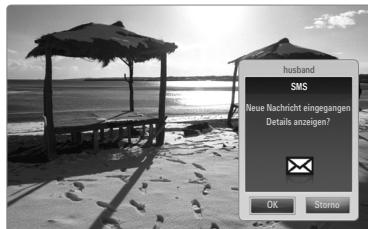 SAMSUNG UE-40B7020 - Verwendend der Meldungsfunktion - 1