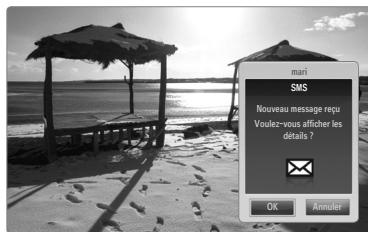 SAMSUNG UE-40B7020 - Utilisation de la fonction Message - 1