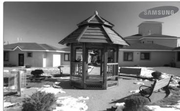 SAMSUNG UE-40B7020 - De Media-functie gebruiken - 2