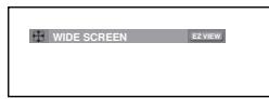 SAMSUNG DVD-P270K - Adjusting the Aspect Ratio (EZ View) - 1