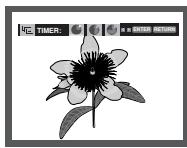SAMSUNG DVD-P270K - Slide Show - 2