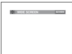 SAMSUNG DVD-P375K - To play back using aspect ratio (DVD) - 1