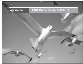 SAMSUNG DVD-R129 - Using the AUDIO button - 1