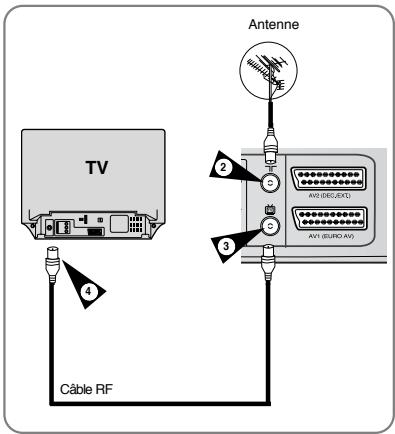 Antenne TV Cable RF 2 3 4 AVI (DEC/EXT) AVI (EURO AVI)