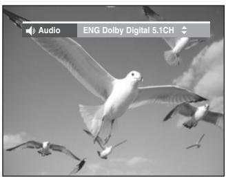 SAMSUNG DVD-VR335 - Utilisation de la touche audio - 1