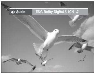 SAMSUNG DVD-VR335 - Press the AUDIO button during playback. - 1