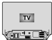 SAMSUNG SV-DVD55 - Collegamento tramite jack S-video - 1
