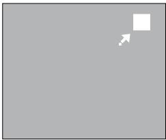 SAMSUNG DVD-P180 - Using the Zoom Function (DVD) - 1