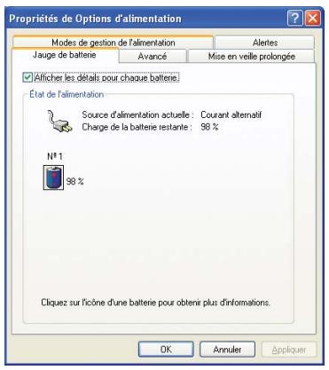 SAMSUNG NX05RP12K4 - Jauge d'alimentation - 1