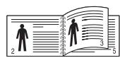 SAMSUNG CLP-320N - Impression recto verso (manuelle) - 4
