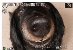 CANON POWERSHOT G5 X - Choisissez [ - 1