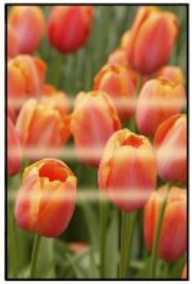CANON PIXMA MX495 - Les couleurs sont inégales - 1