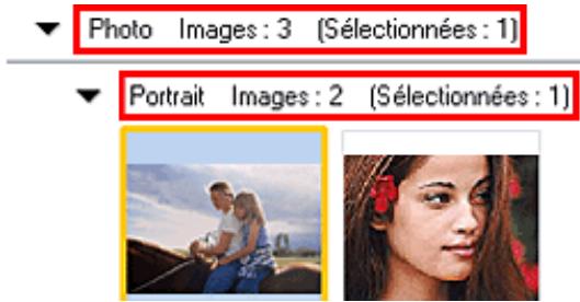 CANON PIXMA MX495 - Remarque - 1