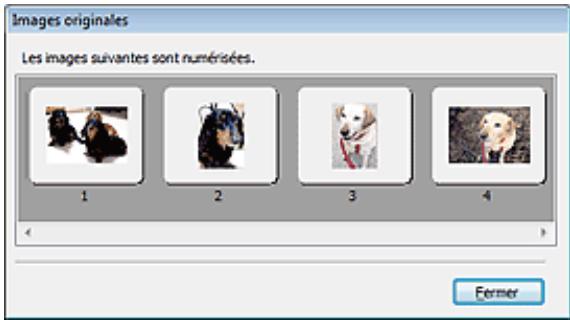 CANON PIXMA MX495 - - Afficher les images numériées - 1