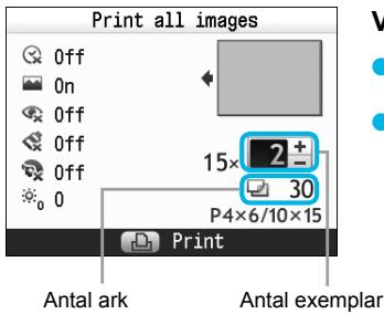 CANON SELPHY CP800 - Visa installingssskärmen. - 2