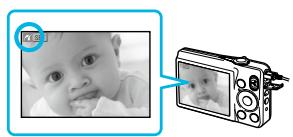 CANON SELPHY CP800 - Udskrivning fra et digitalkamera - 5