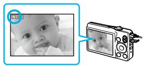 CANON SELPHY CP800 - Stampa da una fotocamera digitale - 5