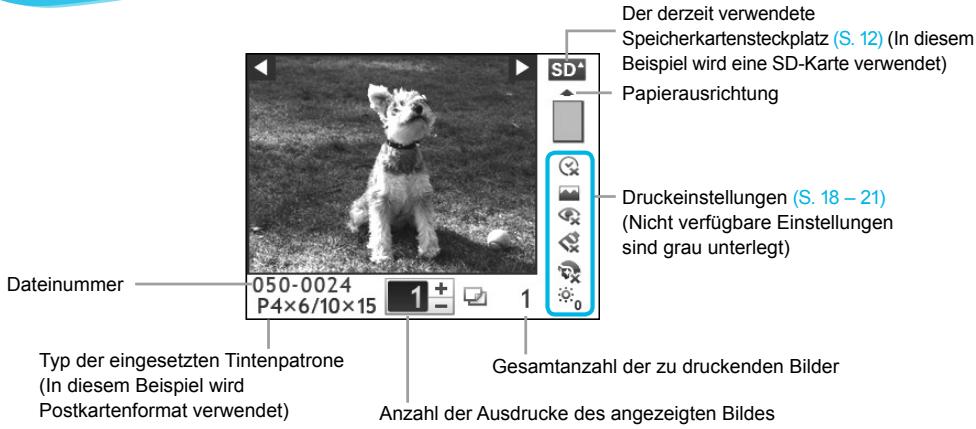 CANON SELPHY CP800 - Auf dem Bildschirm angezeigte Informationen - 1