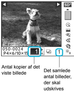 CANON SELPHY CP800 - Juster skærmen, sá du let kan aflæse den. - 4