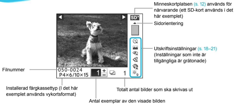 CANON SELPHY CP800 - Information som visas på skärmen - 1