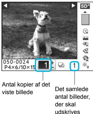 CANON SELPHY CP800 - Juster skærmen, sá du let kan aflæse den. - 4