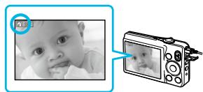 CANON SELPHY CP800 - Afdrukken vanaf uw digitale camera - 5