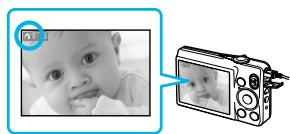 CANON SELPHY CP800 - Printing From Your Digital Camera - 5