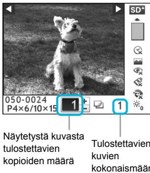 CANON SELPHY CP800 - Aseta yksi muistikortti muistikorttipaikkaan. - 2