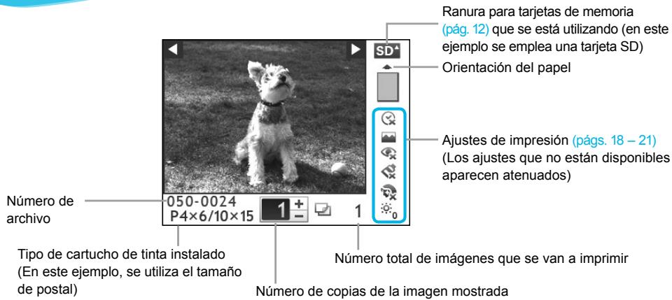 CANON SELPHY CP800 - Información que aparece en la pantalla - 1