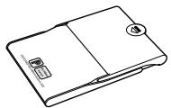 CANON SELPHY CP800 - Containido del paquete - 2